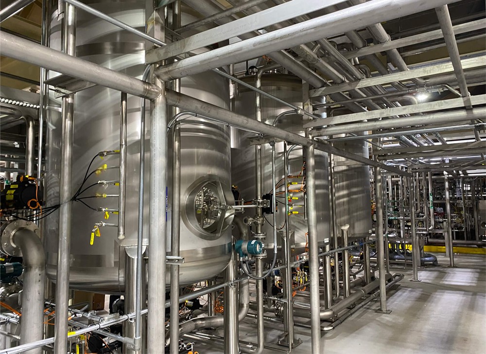 Turnkey Solution for Watermelon Wine Project