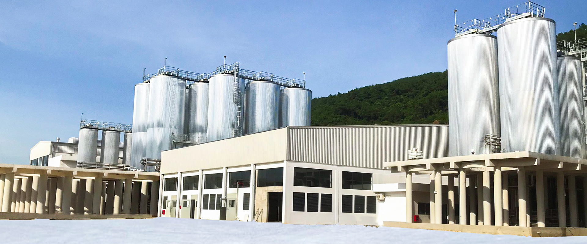 Annual 10 Million Liter Brewery Equipment