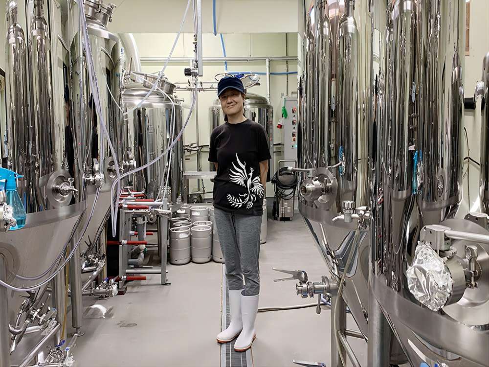 500L Japan brewery equipment