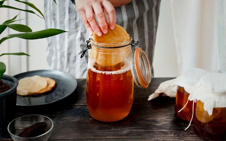 Kombucha equipment