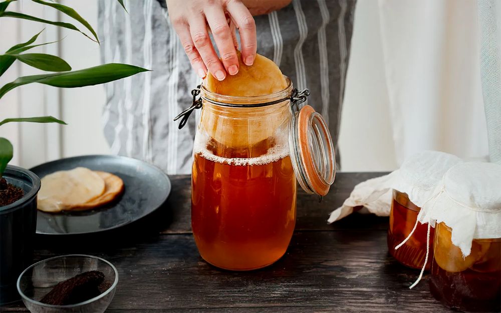 Kombucha equipment